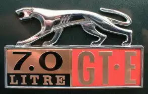 GT-E Fender Badge